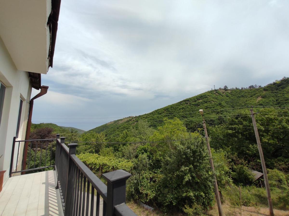 The Nature 西格纳吉 外观 照片